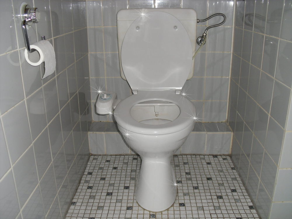 BisBro Deluxe Bidet 1000 - Dusch-WC mit Kaltwasser